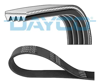DAYCO  6DPK1195 Kanalli Kayiş  (Çift Kanalli) Pas Ym Bora Golf Iv-... 06A260849B 06A260849C 06A260849E