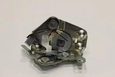 FIAT OPAR 4356259E Kılıt,Arka Kapı Ic Sağ     Dks ORJINAL