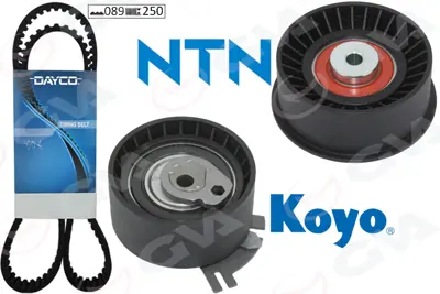 GVA 59T1906 Eksantrik Gergi Kiti (089x250) Master Ii-Movano-Laguna Ii 01> Trafic Ii 03> 2.2dti-2.5cdti -7701473849 1680600QAG KH153 1987946571 4506085 7701472329 9109428 9201527 93161859 5558270 201270