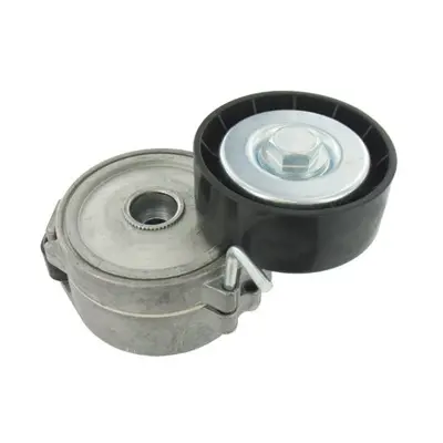 ABA 25359211.1 Alternatör Gergi Rulmani Volvo S80 2.0tdi 08>v7... 31216514 534006810 5751F5 AG9Q6A228BA 5751G0 30128 N2116 7G9Q6A228AA 1440933 12805506