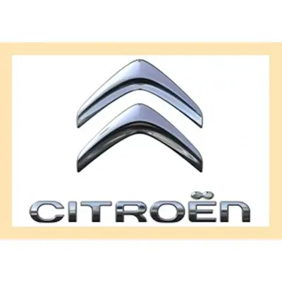 PSA 9678484780 Citroen Yazi Ve Armac-Els 9678484780