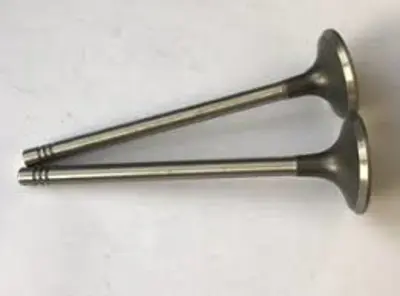 SUPSAN V0037924-05 Supap Vw Passat. Tiguan. Transporter 2.0 Tdi 16v E... 03L109601