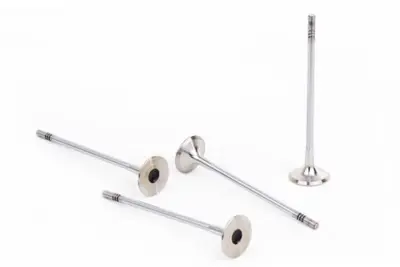 SUPSAN V0040845 Supap Nissan Vanette Cargo 2.3d 8v Eng.(Ld23) 132019C600 R6066RCR 701019 IV94448 V991717 V94448 1717 6066 1717OSVAT 2894