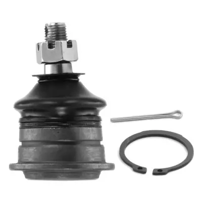 AYD 92-02121 Rotil Ön Üst Nissan Pickup (D22) (2wd) 98>12 404626 545242S486 TC1788 401102S600 545242S685 42182 36160100012 Partof 220WD22UF A381131
