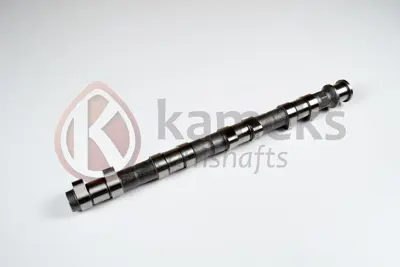 İthal 10121 Eksantrik Mili 1.8-2.0 16v İne (Döküm) 636032 CAM952 CS2527 9194102 93147600 T8303 MT2275 1611262980 8MK376908634 1350A763