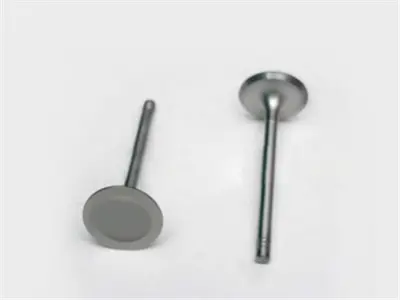 İthal 2082-2083 Subap Takimi 16v Emme-Eksoz-Mondeo-Escort1.6i-16-V... 123247SX 300082 V035549 928M6507E2A 19629 13VE30542000 VI0019 928M6507C2A V94072 1623