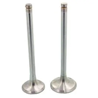 İthal 2469-2470 Supap Takimi Hyundai İ20 1.2l G4la Benzinli 08->... 2221103200 R6572SNT VL185900 WG1053150 V95203 IV95218 V165720 2221103201 3921032 2909