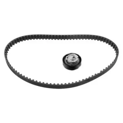 MY 130C17480R Eksantrik Gergi Kiti (096x173) Dacia Logan 04> ... 130C17480R 5300604100 5300604 530060400 530060420 K015662XS 530060410 PK08492 530060430 KTB794