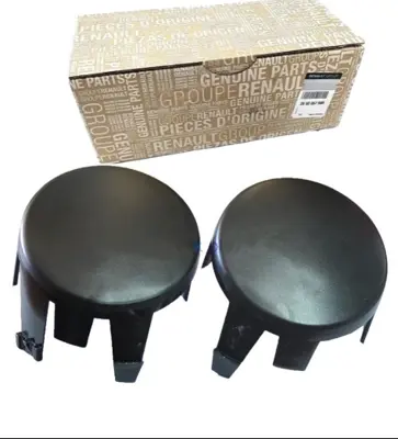 RENAULT 7701209099 Kapak Sıs Far On Clıo 98>08 7701209099 60080781 7701209099R 20688 T491008 4232541 91008 769577 4231544 4341591