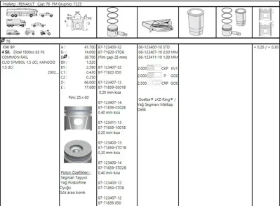 FEDERAL MOGUL 8771820STD00AG Piston-Segman Kango-Clio Symbol-Modus-Thalia Em 1,5dci Std 25pim (K9k) (76,00mm) 