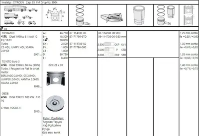 FEDERAL MOGUL 8771796STD000G Piston-Segman Partner/P407/Scudo 2,0 Hdi Std 