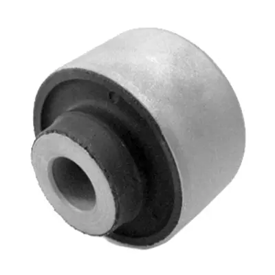 AYD 10581 Salincak Burcu Nissan Juke 