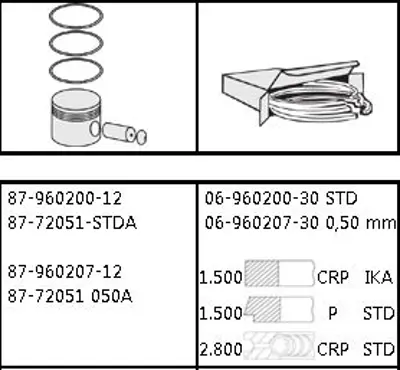 GOETZE 0696020730 Segman Carry Sk410 66mm 