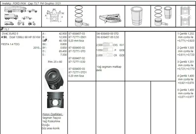 FEDERAL MOGUL 8772771050100G Piston-Segman P207-P208-P2008-P206(T3e)ds3-C3-Dv4c 1,4hdi-8v/Fiesta 1,4tdci  050(73,70)euro5-0,20kis 