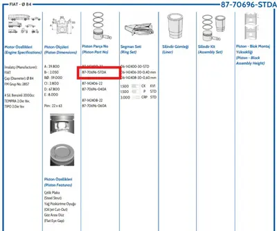 FEDERAL MOGUL 8770696STD000G Piston-Segman Tpsx 2.0 16v Std 