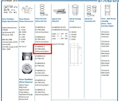 FEDERAL MOGUL 8771783060300G Piston-Segman Focus/P206 1,6 Hdi Dv6 060 60 Kisa 