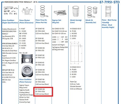 FEDERAL MOGUL 8771951STD200G Piston-Sekman Renault  76,00  Mm  Std (Ky:-0,40 Mm) 