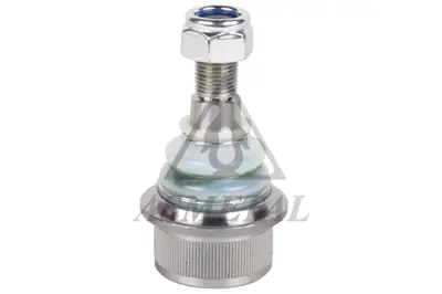 ASMETAL 10IV9005 Üst Rotil Daily Iii /Iv /V 99-14 