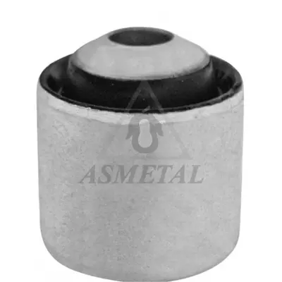 ASMETAL 38BM2618 Denge Kol Burcu Bmw 1-Seri F20/3-Seri F30 Arka Sag Ön Koldaki 
