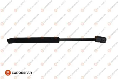 EUROREPAR 1682359680 Bagaj Kap Dayan 1682359680