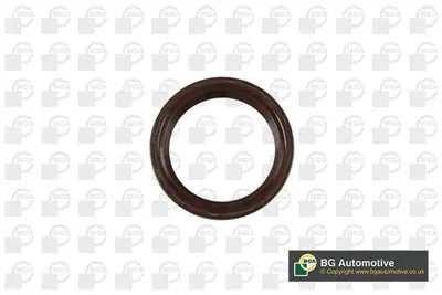 BGA OS7309 Krank Keçesi On (55x68x8) Bmw B57 N47 F10 F20 F30 E60 E90 F01 F32 G20 G30 E87 F40 F44 E82 E88 F22 G1 11117802665 NA5299 813938200 584160 19035978B 7802665 84879090 RS0082VR1 P7644301 8425105