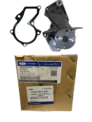 FORD OTOSAN FOM 7S7G8591A2C Devirdaim Su Pompası Fıesta V Fusıon 01 > Fıesta Vı 08 > 1.25 - 1.4 - 1.6 Focus Iı 1.4 16v 1.6 16v 1778516 1E0612205 KP25433XS2 1680637 55282701 31330943 C20112201 C40215010 3M5Q8A615DA 7S7G8591A2B