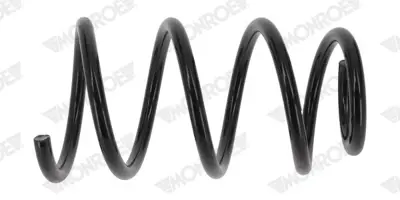 BSG 75-305-005 Helezon Yayı Ön 540103937R