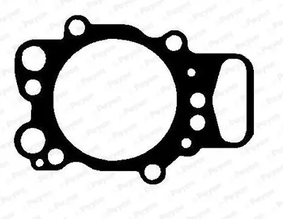 CONSAN 03.111.125 Silindir Kapak Contası (Krom) Scanıa 4 Serı P-G-R-T Dc 9 Dc 11 Dsc-Dc-Dt 12 4-Series Dc 9 Dc 11 Dc-D 1377039 42178 125780 613488000 1250586 1444941 72127 410107 29369 1403260