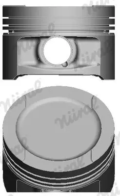 NURAL 8772199STD000G Piston Vw 1.6 Golfıv,Poc. Adp-Aft-Akl 81,00mm 050107065E