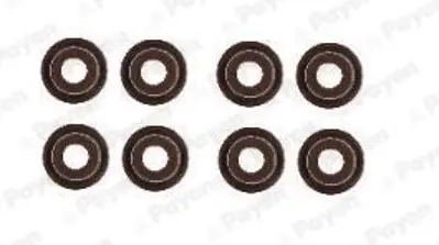 STONE JF-1640129-1 Supap Lastiği  90913-02121