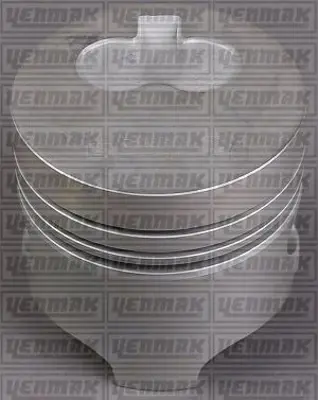YENMAK 31-04163-001 Pıston+segman Std (80.00mm) Expres R19 Kangoo 1.9d Cukurlu 97- (F8q) 0.20kısa 18805092020