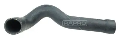 RAPRO 19556 Radyator Alt Hortumu Bmw E36 320 I-323 I-325 I-328 I 19556 11531726344