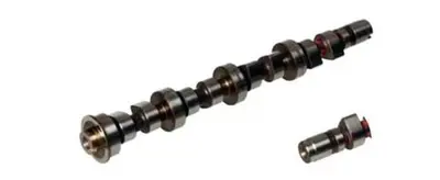 ESTAŞ EST13067 Eksantrik Mılı Emme Fıat Doblo 16 02 - Albea 16 16v 00-10 46774707 CAM716 CP16213 T1803 CS2377 93043600 EC318 CM052266