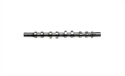 İthal 10922 Eksantrik Mılı Emme Volkswagen Jetta Polo Passat Golf V Vı Tıguan Leon Superb Oc 3C109101DC T2632 CM052274 176005 WG1814738 3C109101CF WG2179453 EC817 CS0125 WG1281947