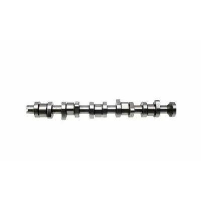 ESTAŞ EST45048 Eksantrik Mili Renault Clio Ii Kangoo 14 E E7j 7700273920