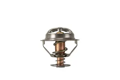 BEHR MAHLE 509956 Thermostat. Coolant Vw 