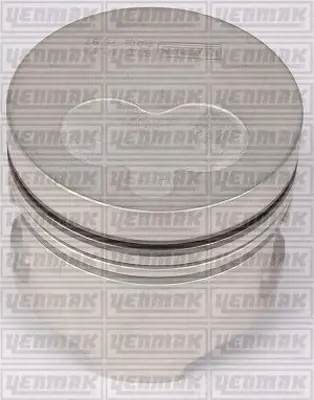GOETZE NÜRAL 87-71830 050A Pıston+segman 8771830