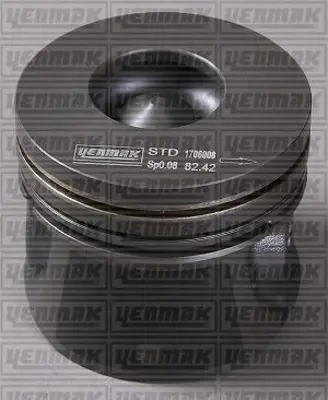 GOETZE NÜRAL 87-72731 STD Pıston+segman XS4Q6102AA