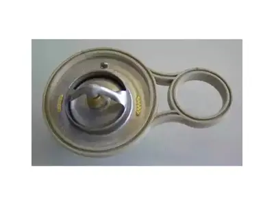 WAHLER 41026391D Termostat W10 W11 [mini-R50>r53] 91c 