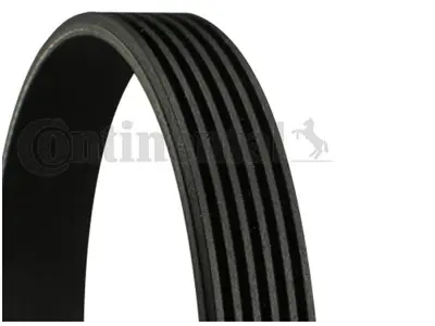 Continental 6PK1565 Kayiş 