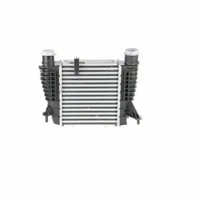 RENAULT 8200471888 Radyator Turbo Clio  8200471884 8200471888 8200170504 144619U20A 8200297423 14461EM00A 420180003 187009N 8ML376756621 351319203563