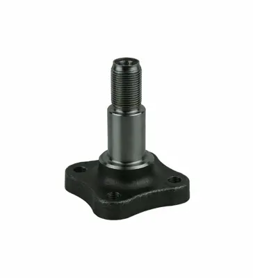 TM 7700416374 Aks Tasiyici Arka Clio Ii-Iii-Modus-Symbol 7700416374 6001548299 8200217106 9499032K 702095 4P387 9499032 16145010000 N1035 600154829