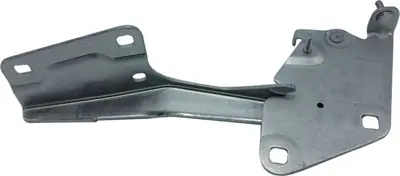 ALPER 462142 Motor Kaput Menteşesi Sağ Fluence 09> 654000016R