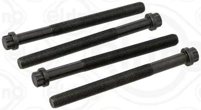 ELRING 060.220 Silindir Kapak Saplaması Set 5419900001 5419900501 A5419900001 A5419900501