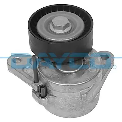 DAYCO APV4174 Alternator Gergi Rulmanı Crafter 2,0 Caddy 16> Passat - Cc Golf Vıı Scırocco Sharan Tıguan Touran A4 4L903315C