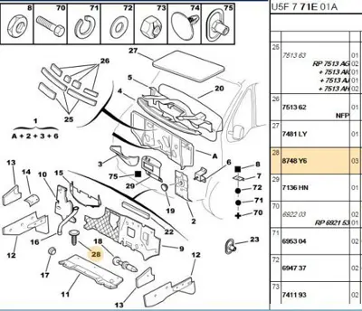 PSA 8748.Y6 Agraf 7466J0 8748W4 8748Y6 833138