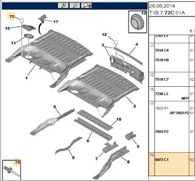 PSA 6973.C1 Perçın 7903072109 697329 6973C0 6973C1