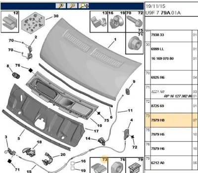 PSA 7979.H8 Agraf 1162014 7979H8 95511141