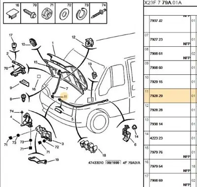 PSA 7928.29 Mot.Kap.Dayama Çubugu Klı 792829 792914