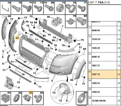 PSA 7437.13 Agraf 743713